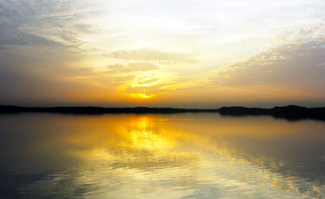 Gambia natuur