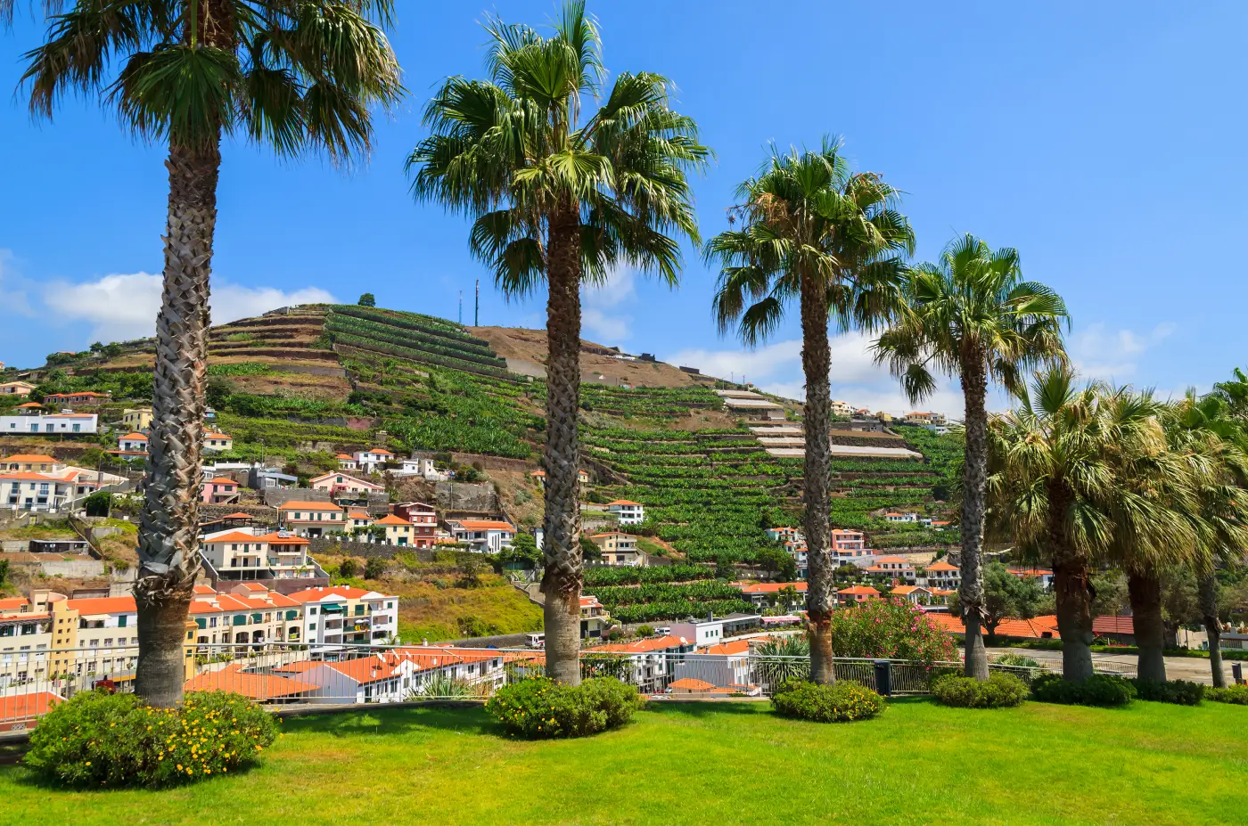 Camara de Lobos, Madeira