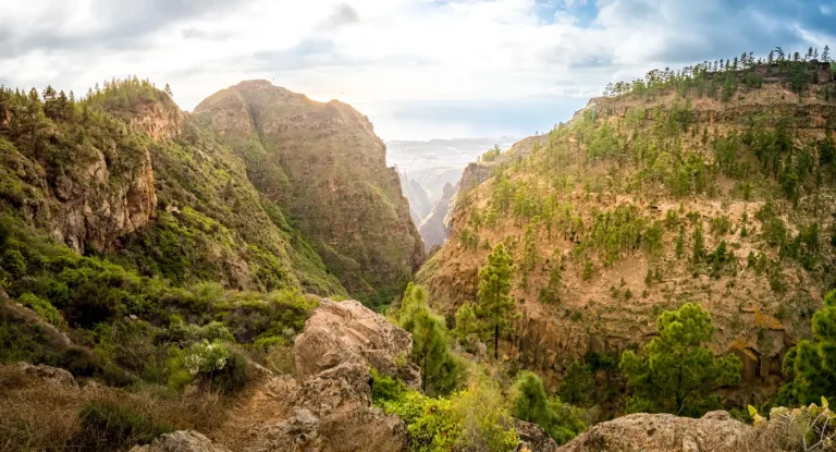 Tenerife of Gran Canaria