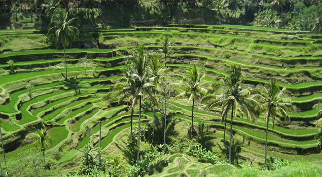 ubud