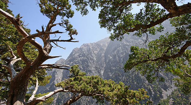 Samaria Kloof - Wandelen op Kreta