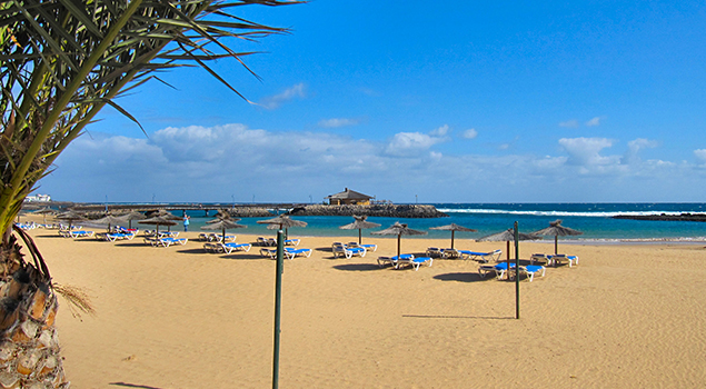 Welk Canarisch Eiland? - Fuerteventura