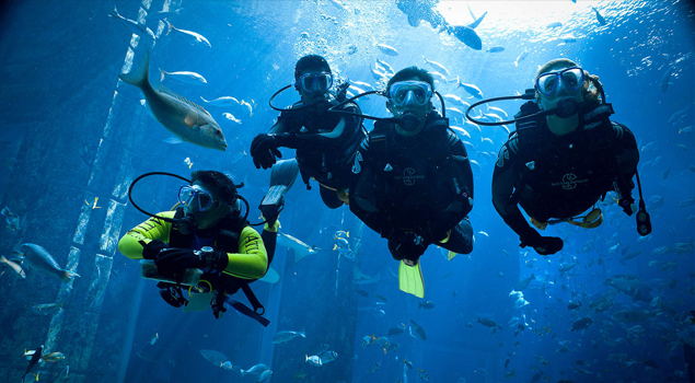 dubai-aquarium-duik