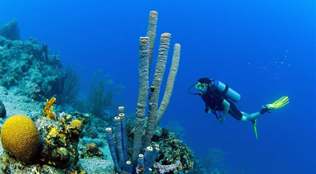 duiken-curacao