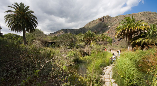 Jardin Botanique