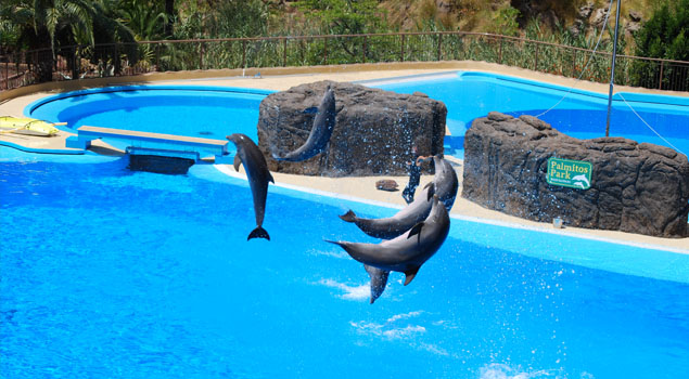 Palmitos Park