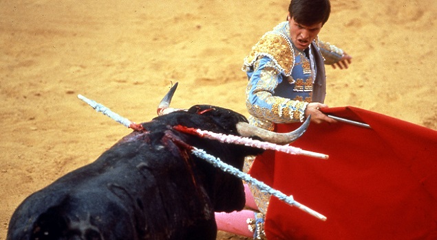Bullfight World Animal Protection