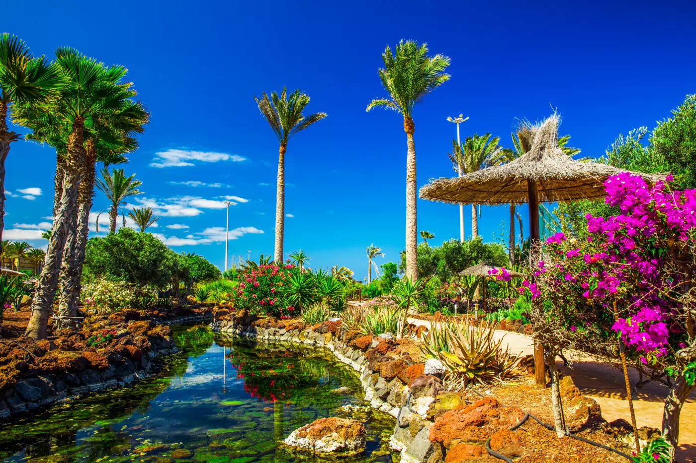Fuerteventura: een oase van rust en ongerepte stranden