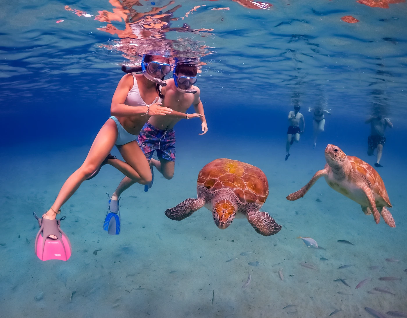 Snorkelen met schildpadden Curacao