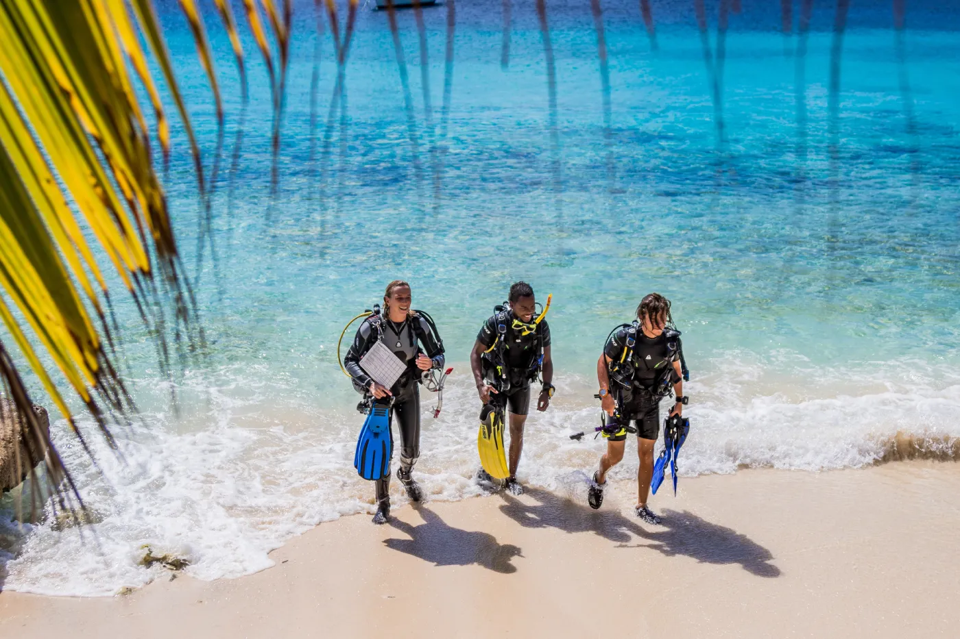 Snorkelen en duiken in Bonaire